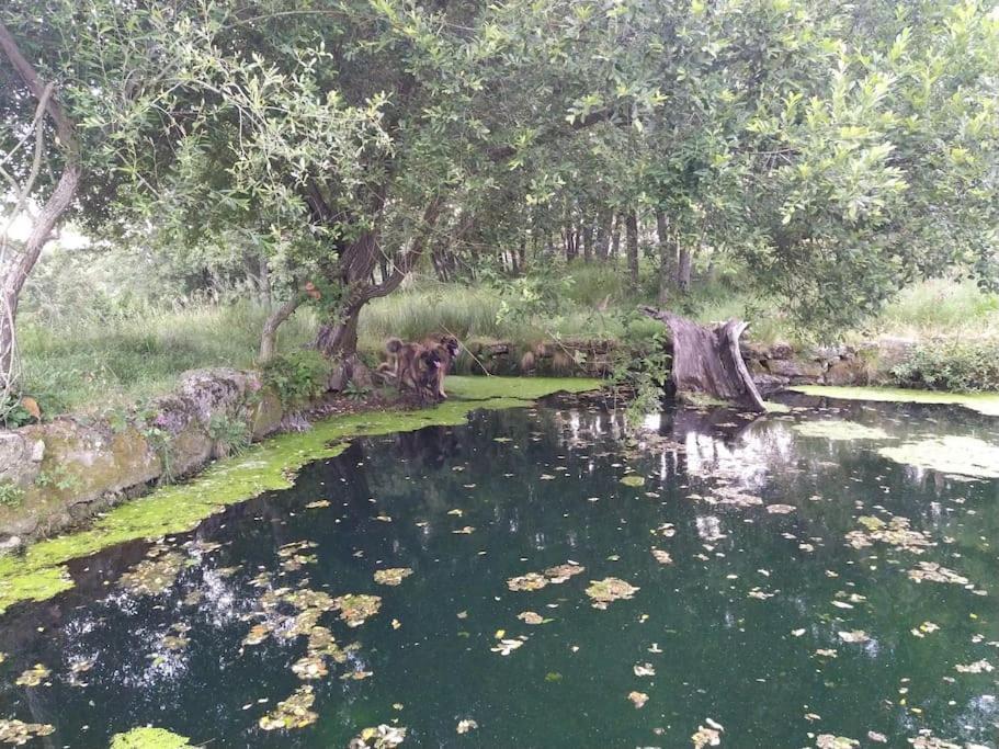 Quinta Do Borges 2 Apartman Guarda Kültér fotó